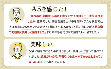 佐賀牛 ロース サイコロステーキ約300g×2パック HAA109 ステーキ 国産 和牛 黒毛和牛