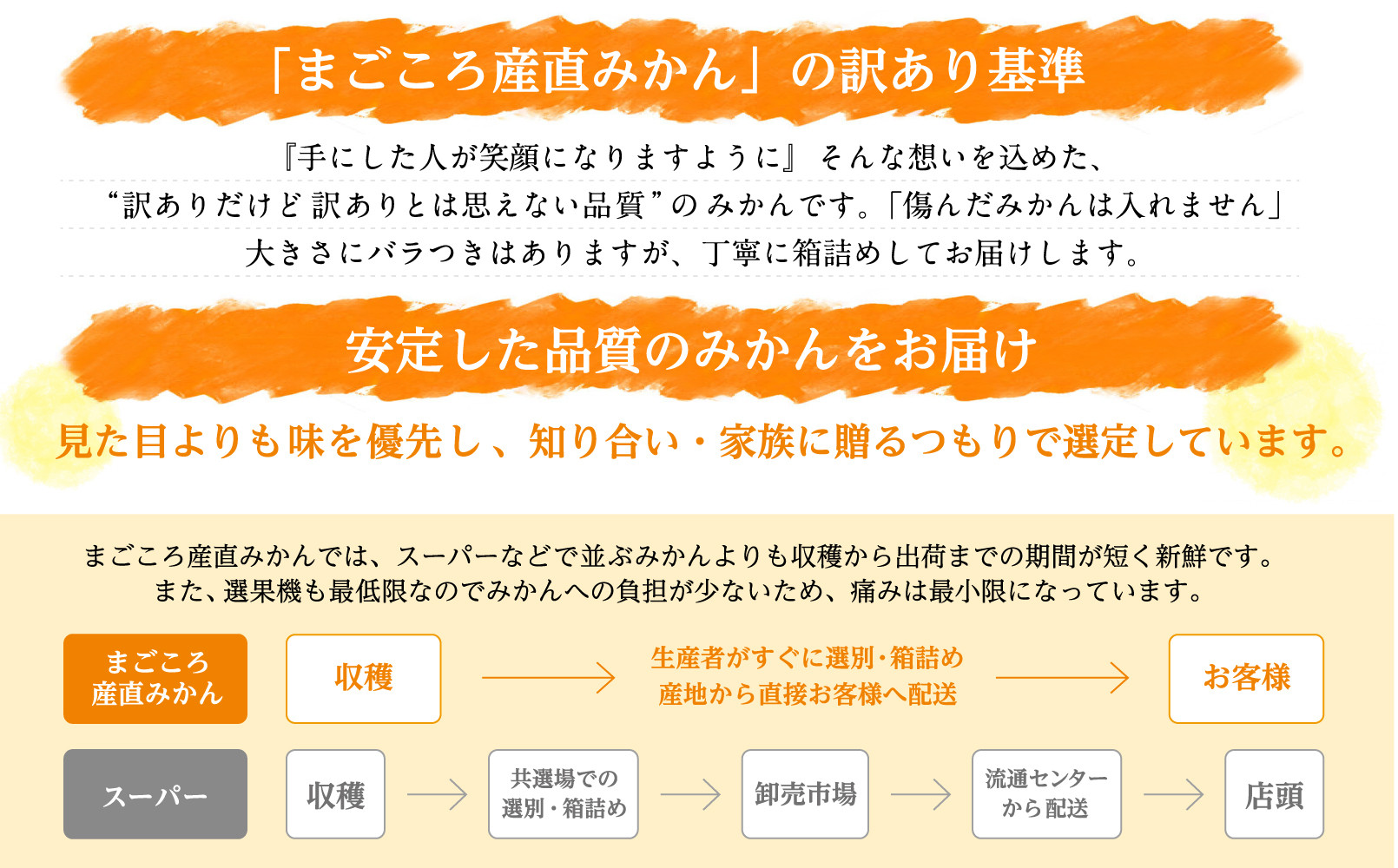 みかん 極早生みかん 訳あり 6.5kg 大小混合 まごころ産直みかん【2026年10月中旬頃から11月中旬頃まで順次発送予定】温州みかん 和歌山みかん 下津みかん 訳有り わけあり 和歌山県産 産地