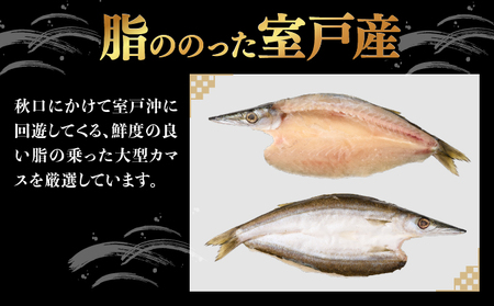 トロカマス干物８枚定期便【全１２回】 _iz028