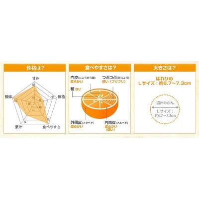 のま果樹園のはれひめ(約3kg)バラ詰め【1759269】