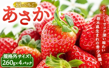 《数量限定》幻のいちごあさか規格外サイズ（260g×4パック） ｜ いちご イチゴ 苺 栃木県 果物 フルーツ 新鮮 贈答 ギフト 高級 希少 ※2026年1月中旬～2月中旬頃に順次発送予定