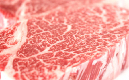 ヒレステーキ 計300g 牛肉 長崎和牛 国産 希少部位 ヒレステーキ  [QBD001]