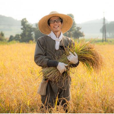 ふるさと納税 菊池市 きくち村の緑米白玉粉 計720g 栽培期間中農薬不使用 緑米使用 【自然派きくち村】 |  | 03