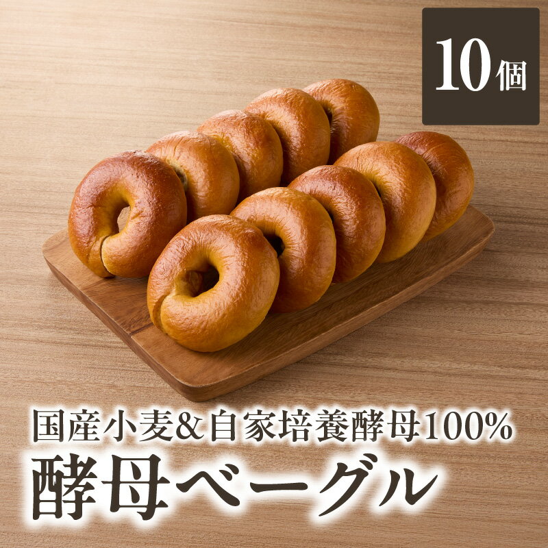 【ふるさと納税】《レビューキャンペーン》国産小麦＆自家培養酵母100％　酵母ベーグル10個 パン ベーグル 国産 トースト サンドイッチ シンプル 朝食 酵母 オーガニック もちもち 食べやすい ヘルシー 低脂質 低カロリー 身体にやさしい 自然素材 素朴 おやつ 朝食 国産