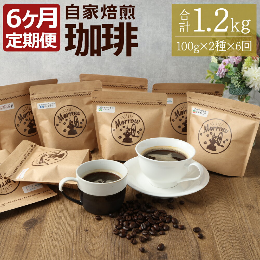 【定期便6ヶ月】自家焙煎 珈琲 Little Morrow 6ヶ月 100g×2種×6回 合計1200g コーヒー 珈琲豆 ブレンド ブレンドコーヒー 福岡県 筑後市 送料無料