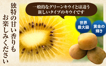 キウイ　鮮やか黄金に輝く　ゴールドキウイ 約900g | 果物 フルーツ さぬきゴールド キウイ キウイフルーツ フレッシュ ジューシー 香り 爽やか 旬の果物 人気 おすすめ 贈答 贈り物 青果物 