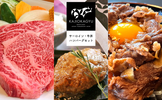 梶岡牛 【サーロイン・ハンバーグ・牛丼】セット ｜ お取り寄せ 牛肉 肉 にく グルメ サーロイン ハンバーグ 牛丼 焼肉 セット 詰め合わせ 800g 冷凍 熟成 長期飼育 特産品 山口 美祢市 美祢