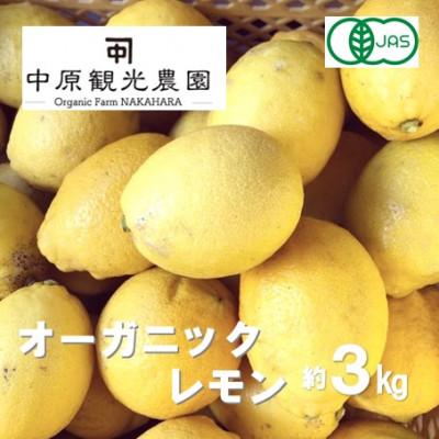 ふるさと納税 大崎上島町 中原観光農園のオーガニックレモン 約3kg [有機JAS認証]