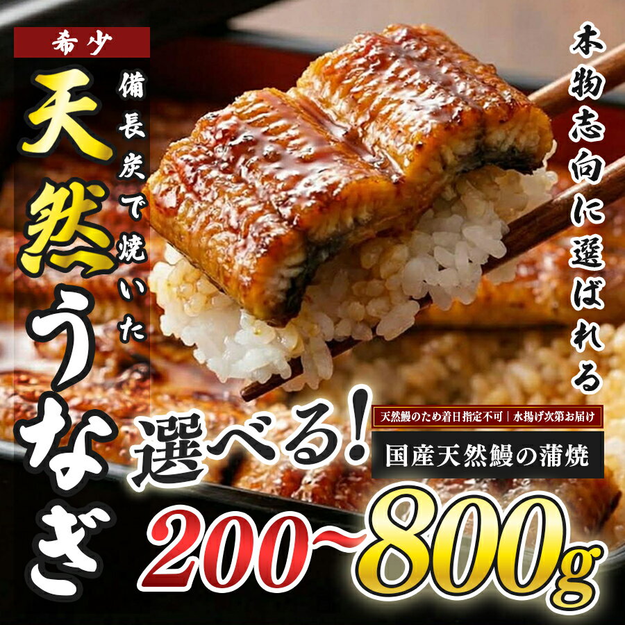 【ふるさと納税】希少 天然 鰻 蒲焼 約1～7人前 200g～800g 国産 四万十川 うなぎ ウナギ 蒲焼き ウナギ蒲焼 鰻蒲焼 うな重 備長炭 炭火 炭火焼き 冷凍 湯せん 小分け 贈答 お取り寄せ ギフトご褒美 簡単 土用の丑の日 高知県 大月町