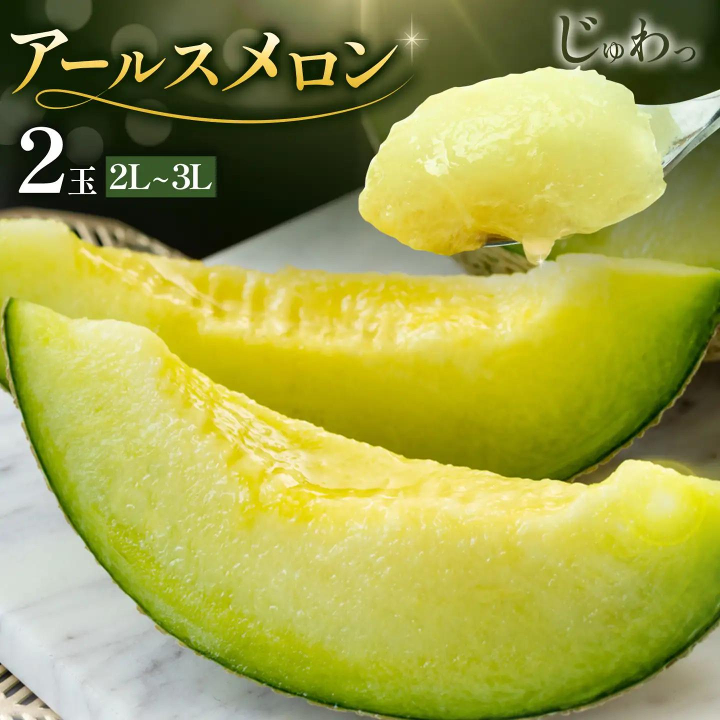 アールスメロン 2玉 2L～3Lサイズ メロン《9月上旬-12月上旬頃出荷》熊本県 菊池市 果物 フルーツ 青果物 菊池市産 熊本県産 九州産 国産 送料無料