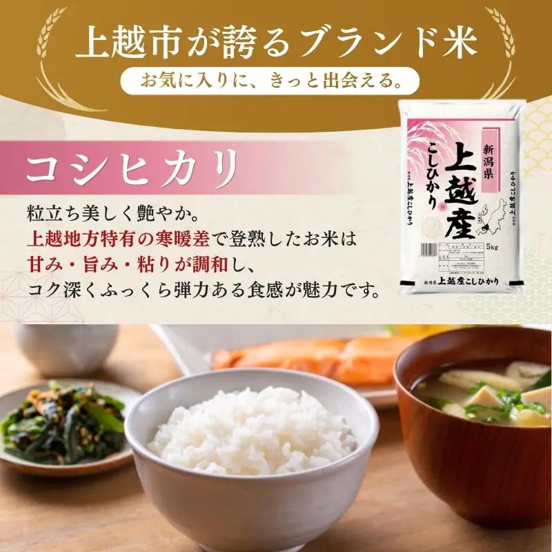 【最短3日配送】農家応援! コシヒカリ 10kg 緊急価格改定 新潟県 上越市産 令和7年産 お米 精米 米 ご飯 送料無料