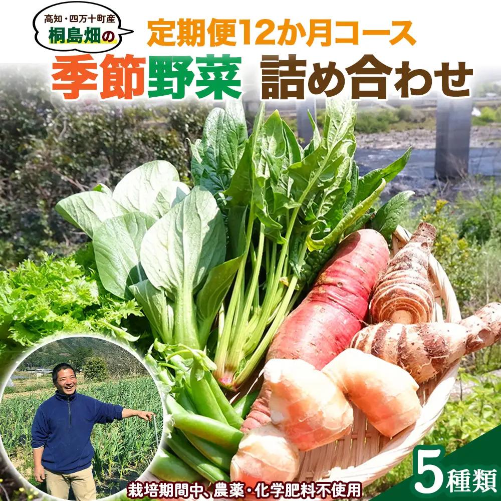 【栽培期間中、農薬・化学肥料不使用】桐島畑の季節野菜詰め合わせ(5種類)(定期便12か月コース)　Rfkh-A02 ／ やさい 国産野菜 四万十 高知 季節 フレッシュ 旬 無農薬 有機農業 野菜セット 新鮮 フレッシュ こだわり栽培 安心安全