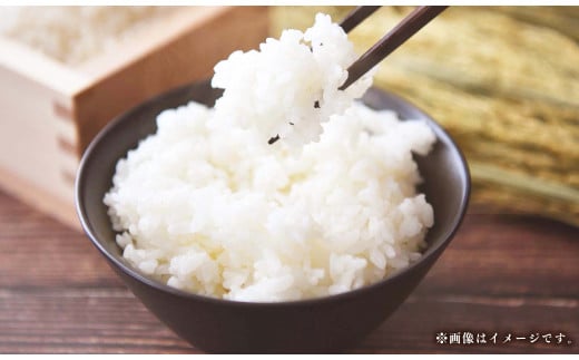 【令和7年産】福岡県ブランド米「元気つくし」20kg 米 お米 白米 精米 岡垣町 【2025年11月上旬より発送開始】