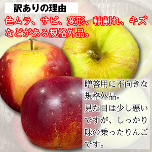 岩手県産 訳あり りんご 5kg 品種 おまかせ 4ヶ月 定期便 ／ ふじ シナノゴールド シナノスイート サンフジ はるか ジョナゴールド 王林 北斗 千秋 陽光 世界一 など オマカセ 旬 林檎 
