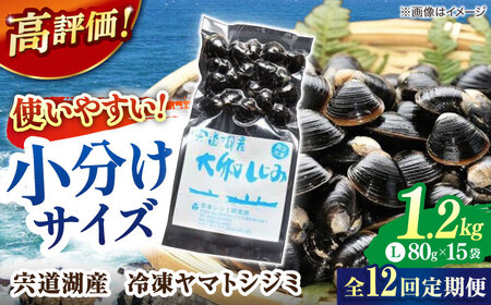しじみ 【全12回定期便】生産量日本一！宍道湖産 ヤマトシジミLサイズ（真空冷凍） 80g×15袋 島根県松江市/有限会社日本シジミ研究所[ALBS008] しじみ しじみ