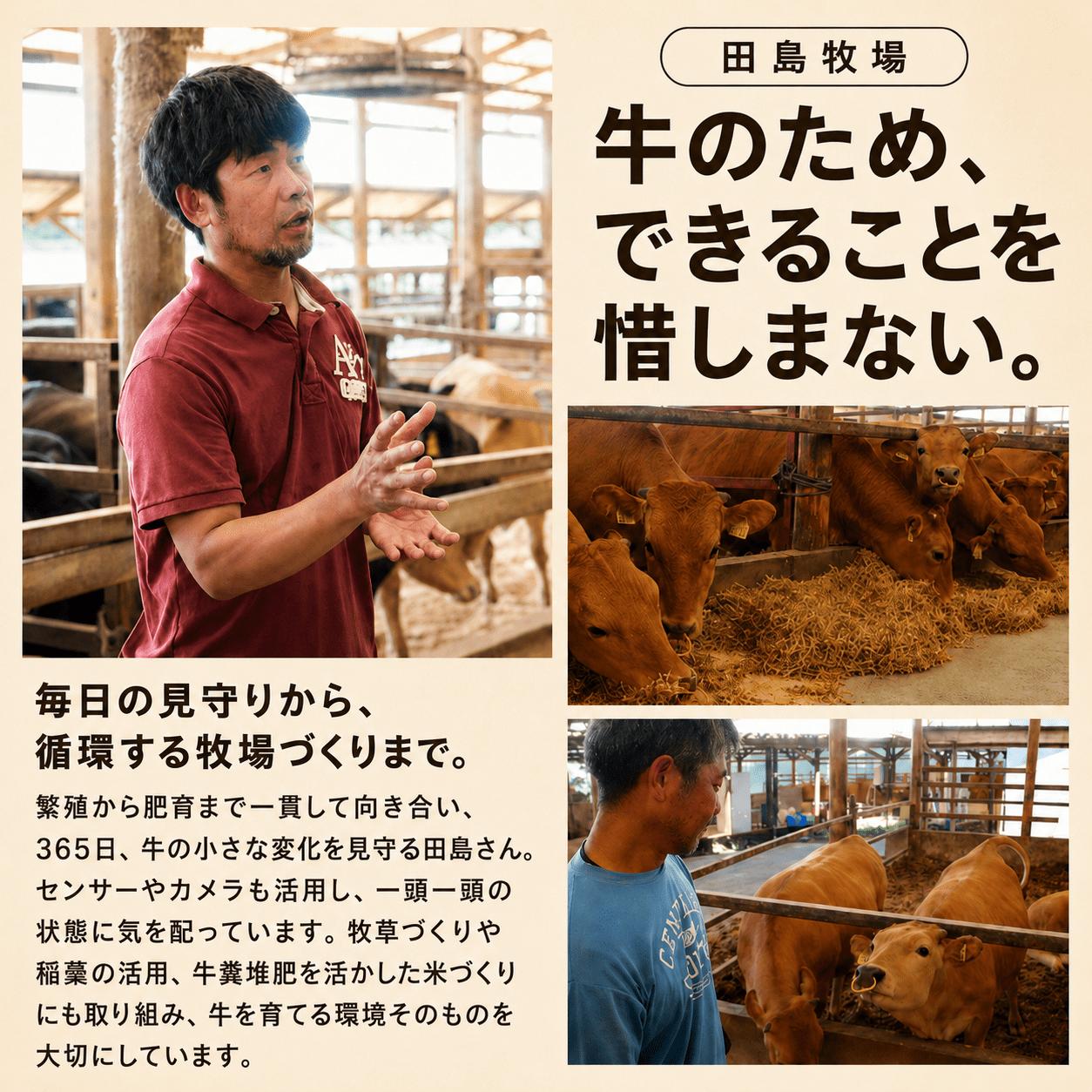 土佐 あかうし 赤牛 赤身 スネ・ネック サイコロカット カレー・シチュー用 600g | 和牛 あか牛 アカウシ 牛肉 希少 ブランド 国産 プレゼント ギフト 冷凍 贈答 高知県 南国市