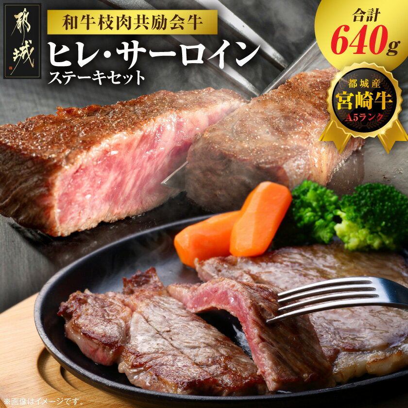 【ふるさと納税】【和牛枝肉共励会牛】(A5)宮崎牛ヒレ・サーロインステーキセット - 都城産 宮崎牛 A5ランク ヒレステーキ サーロインステーキ 塩コショウ・ステーキソース付 送料無料 AF-25-003【宮崎県都城市は2年連続ふるさと納税日本一！】