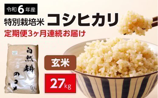 新米【定期便】 令和六年産 特別栽培米コシヒカリ9kg（4.5kg×2袋）玄米 「3ヶ月連続お届け」合計27kg 定期便 玄米 お米 ブランド米 ライス 炭水化物 ご飯 主食 食卓 おにぎり お弁当 ミネラル米 こしひかり ごはん こめ コメ 産地直送 国産 茨城県産 常総市 運動会 アウトドア キャンプ