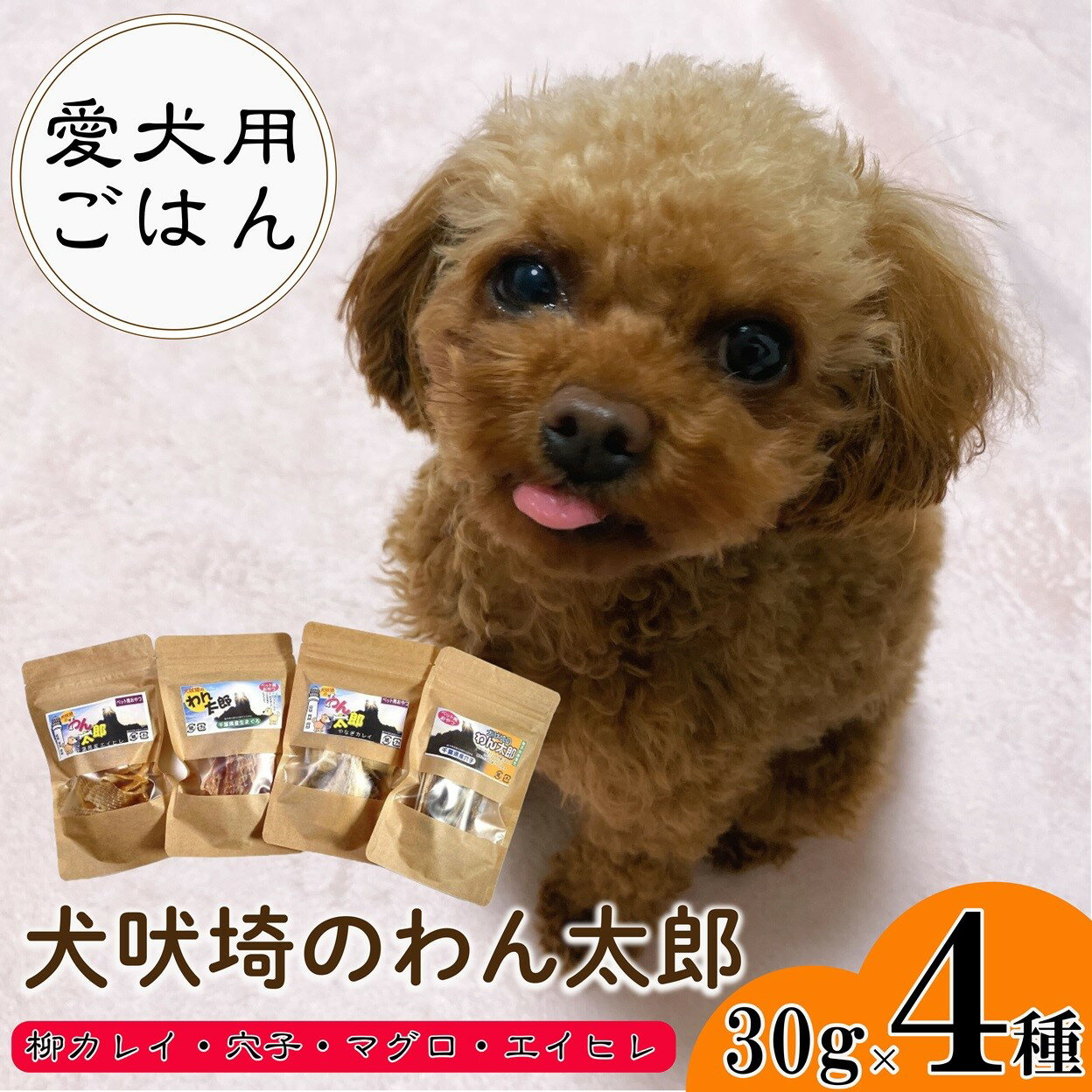 【ふるさと納税】 ドッグフード 4種セット (30g×4) 犬吠埼のわん太郎 柳カレイ 穴子 あなご マグロ 鮪 エイヒレ 健康食 ダイエット ペットフード おやつ 愛犬用 愛犬用ごはん 大型犬 中型犬 小型犬 シニア 老犬 犬 ペット 送料無料 千葉県 銚子市 本宮商店