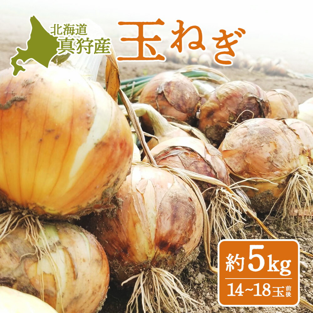 【ふるさと納税】北海道真狩村産　玉ねぎ（約5kg入り14～18玉前後）【01212】