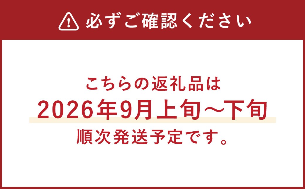 A8 【2026年9月中に順次発送予定】シャインマスカット 約1.2kg