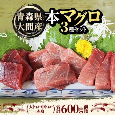 ふるさと納税 青森県 大間産本マグロ 3種セット(大トロ・中トロ・赤身) 合計600g前後