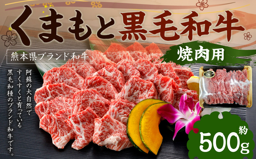 くまもと黒毛和牛 焼肉用 500g×1P