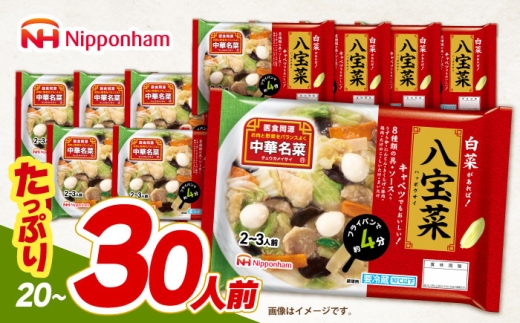 中華名菜 八宝菜 (2～3人前) 10個セット / 中華 八宝菜 惣菜 冷蔵 簡単調理 晩御飯 フライパン調理 ワンパンメニュー　 1万6千円　オンライン ワンストップ / 諫早市 / 日本ハムマーケティング株式会社 [AHAL020]