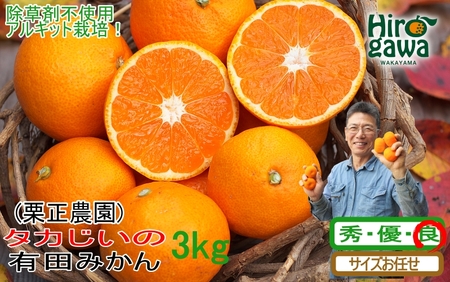 タカじいの 有田 みかん 3kg （良品 サイズ混合 or 大玉） / 温州みかん 有田みかん 甘い 家庭用 和歌山 柑橘 ※12月順次発送 【krs004-c-3-12A】