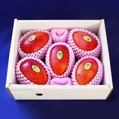 【2025年発送・優品】燦々マンゴー2.0kg(4～6玉)【配送不可地域：離島】