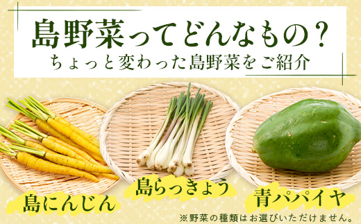 石垣島産 野菜BOX【６回定期便】（６~８種類）季節ごとに野菜パワーをあなたに！！CK-3 【野菜セット おまかせセット 旬 季節のお野菜 旬の野菜セット 詰め合わせ 定期便 ６回 定番野菜 島野菜 