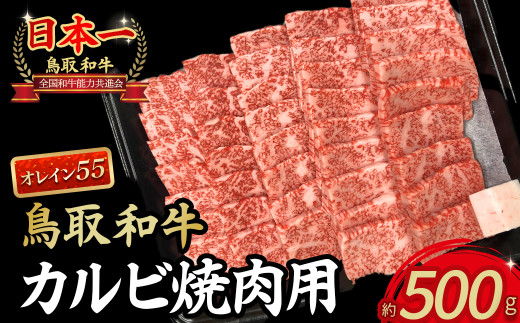 鳥取和牛オレイン55 カルビ 焼肉用（500g） 国産 牛肉 和牛 黒毛和牛 焼肉 BBQ カルビ 和牛カルビ 高級カルビ