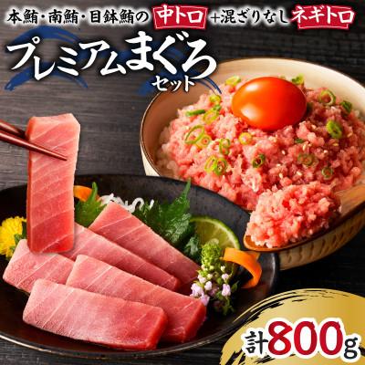 ふるさと納税 三浦市 まぐろ専門店　湊魚問屋プレミアムまぐろセット