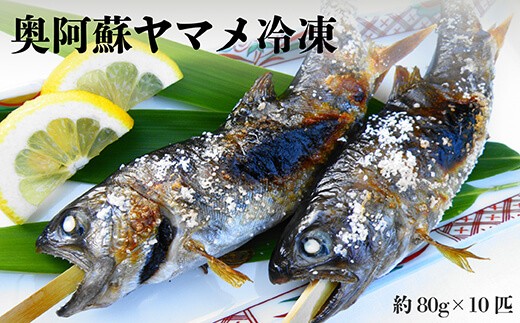 
奥阿蘇 ヤマメ 80g×10匹 計800g
