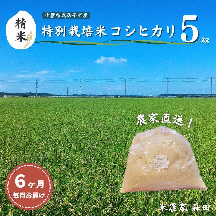 AT001-e 【毎月定期便6回】冷めても美味しい 農家直送 千葉県産 特別栽培米コシヒカリ 5kg×6回 計30kg（精米）