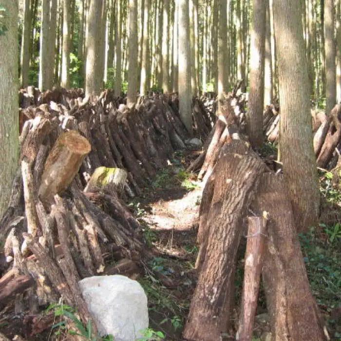 【最短1週間以内発送】【レンジで簡単】釜めし2種セット 鮎釜めし・鶏めし 各130g×2 もち米 120g×4  あゆ 鶏  日田市 釜めし[ARAG002]