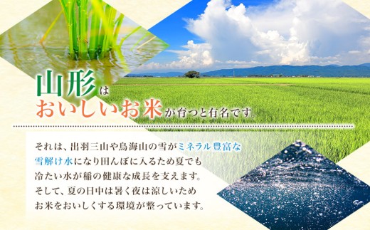 【令和8年産 新米】雪若丸 精米10kg(5kg×2袋) 山形県鶴岡市 らん工房 | ゆきわかまる 10キロ 米 お米 おこめ コメ こめ 食品 ご飯 ごはん おいしい お取り寄せ 農家直送 お弁当 