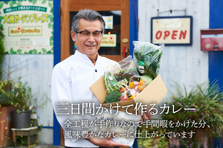 【月に一度はカレーの日】手作りカレーとサラダ野菜セット（半年パスポート）