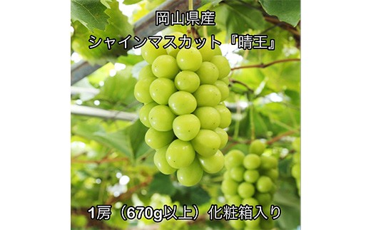 シャインマスカット「晴王」1房（670g以上）化粧箱入り 岡山県産