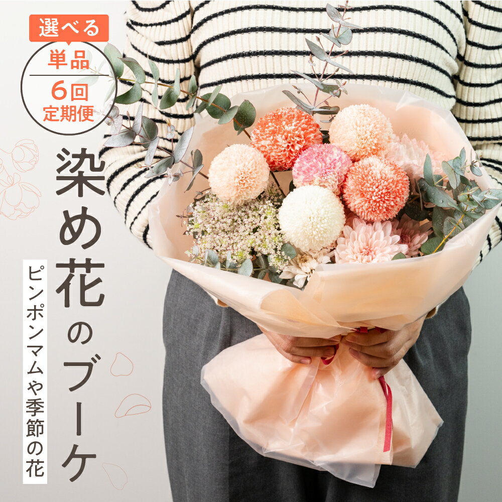 【ふるさと納税】ピンポンマムを中心とした染め花のブーケ 花 花束 指定可 定期便 6回定期便 ギフト 贈り物 ブーケ 生花 季節の花 菊 赤 ピンク 誕生日 フラワー 雑貨 インテリア 人気 母の日 父の日[Q2395 Q2835]