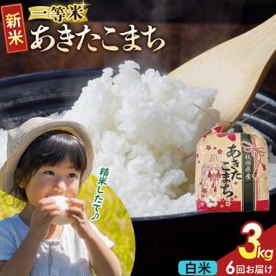 ふるさと納税 大仙市 定期6ヶ月 あきたこまち 一等米白米 3kg 秋田県 R8年|22_kml-010306s | 
