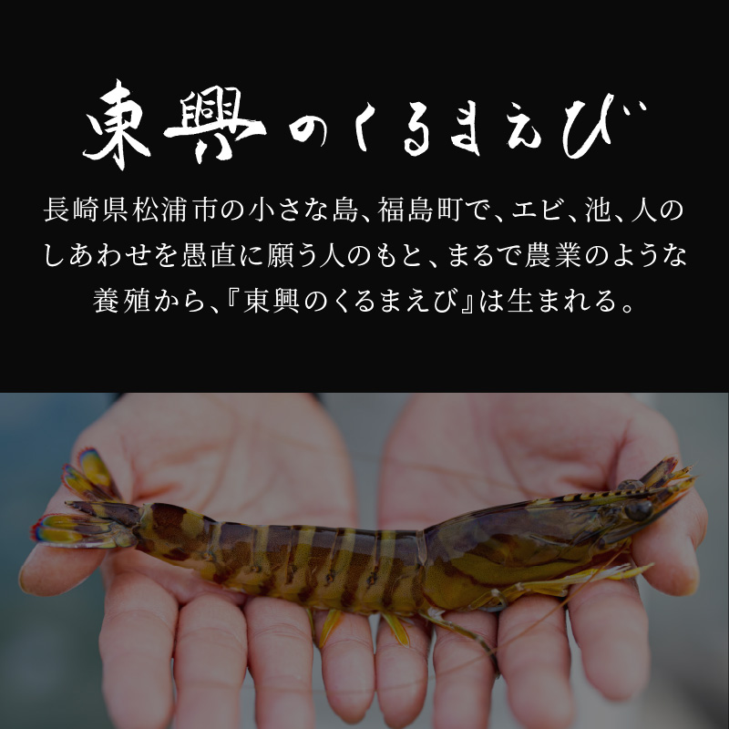 【先行予約】【宅配BOX不可】東興のくるまえび400g入【11月下旬～12月発送】( くるまえび 東興のくるまえび 車海老 海老 エビ )【B6-029-12】