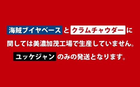 鍋THE WORLD 発酵唐辛子のユッケジャンテイスト （ 10袋 ）