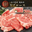 【ふるさと納税】山口県産　秋吉台高原牛リブロース焼肉500g_ 牛肉 肉 和牛 リブロース 国産 焼肉 ビーフ 山口県 高原牛 秋吉台 交雑種 黒毛和種 無角和種 和牛間交雑種 冷凍 グルメ 贈答 ギフト 500g 産地直送 牛脂付 【配送不可地域：離島】【1444666】