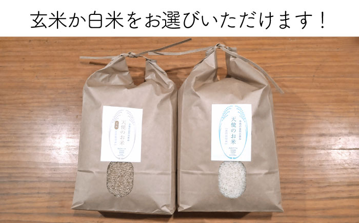 【玄米】【令和7年産新米予約】【 全6回 定期便 】自然栽培 ヒノヒカリ 5kg《糸島》【大石ファーム】【2025年11月中旬以降初回発送】 [ATE018-1] 玄米