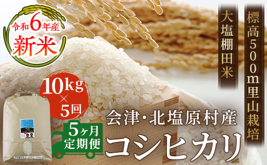 
【5ヶ月定期便】【令和6年産】【新米】会津・北塩原村産「コシヒカリ」10kg×5回お届け(大塩棚田米・標高500ｍ里山栽培）【 ふるさと納税 人気 おすすめ ランキング コシヒカリ 米 10kg 定期便 5か月 5か月定期 50kg 白米 お米 国産 コメ こめ おコメ おこめ ブレンド米 ご飯 白飯 ごはん 精米 ゴハン おにぎり 福島県産 棚田米 福島県 北塩原村 送料無料 】 KBK007
