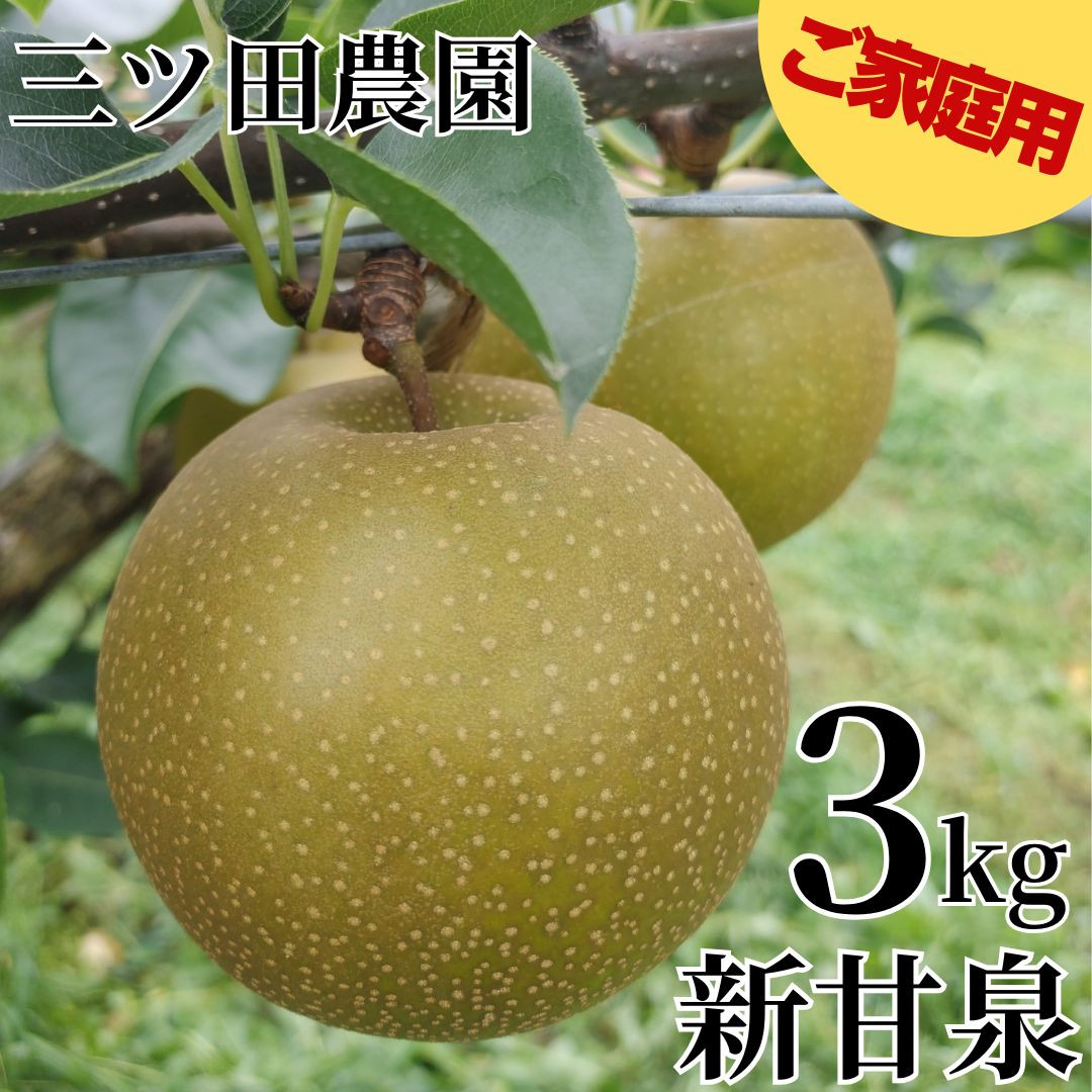 
                  204M.■三ツ田農園■新甘泉3kg〔ご家庭用〕
                