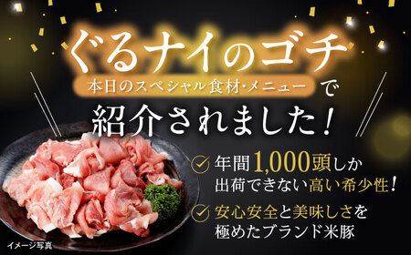 諫美豚ハンバーグ 10個（各150g）計1.5kg / 豚肉 ハンバーグ はんばーぐ おかず 惣菜 冷凍 / 諫早市 / 土井農場 [AHAD064]