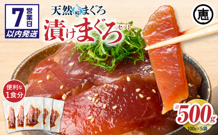 ＜選べる配送月＞手軽にタンパク質！ まぐろ漬け丼 のもと 100g×5袋（ 解凍するだけ 、 ご飯にのせるだけ ）M020-015 冷凍 マグロ 【 まぐろ専門の卸問屋です 】
