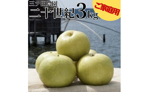 208M.■三ツ田農園■二十世紀3kg〔ご家庭用〕